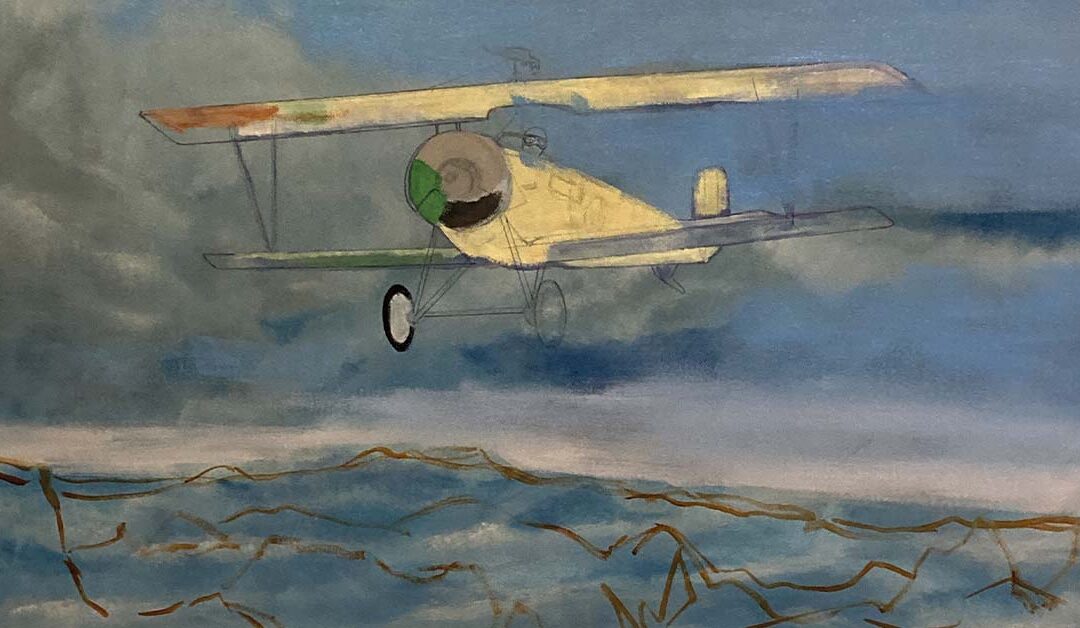 WORK IN PROGRESS